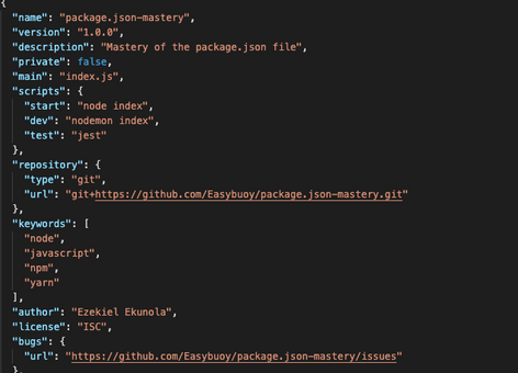 package json file not found