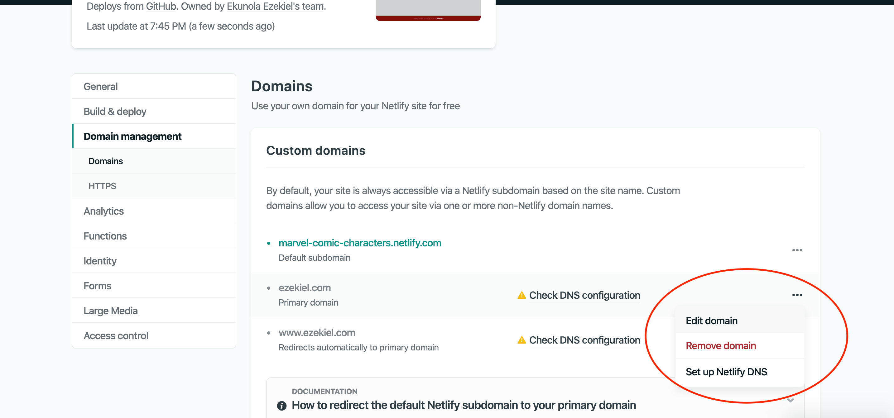 Netlify DNS Setup